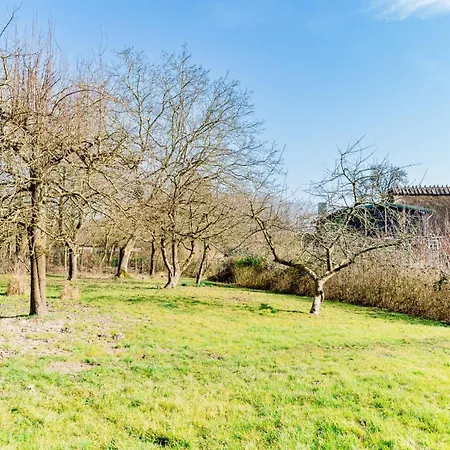 Hanna - Naturnah & Hyggelig Mit Kaminofen Steinbergkirche